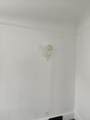 207 Douglas Street - Photo 11