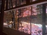 967 Old Miller Road - Photo 56