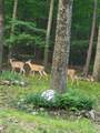 2776 19 Mile Road - Photo 14