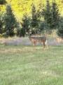 40305 14th Avenue - Photo 62