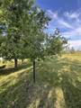 VL Knute Road - Photo 49