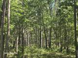 3875 Skocelas Road - Photo 9