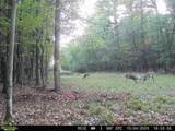 5420 Kathryn Lane - Photo 75