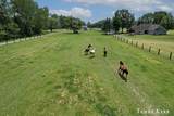 6220 146th Avenue - Photo 3