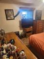 3838 Pine Trail - Photo 8
