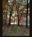 3525 Timberlane Drive - Photo 91