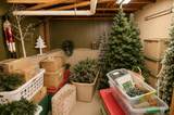 518 Walnut Street - Photo 45