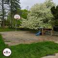30129 Deer Run - Photo 5