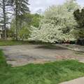 30129 Deer Run - Photo 6