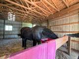 11780 Grass Lake Road - Photo 31