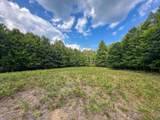 10013 Beal City Road - Photo 39