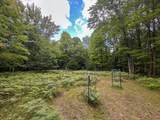 10013 Beal City Road - Photo 42