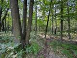 10013 Beal City Road - Photo 46