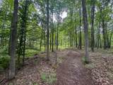 10013 Beal City Road - Photo 47