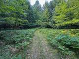10013 Beal City Road - Photo 48