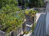 1303 Lakeshore Drive - Photo 60