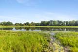 5265 Belding Road - Photo 33