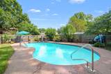 3752 Pine Tree Terrace - Photo 43