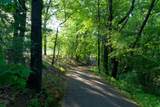 8605 Brighten Trail - Photo 46