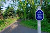 8605 Brighten Trail - Photo 47