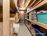 2356 Oak River Lane - Photo 46