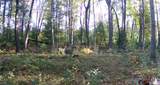 4393 8th Street - Photo 74
