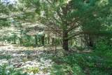 11775 Country Acres Drive - Photo 20