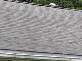 1707 Greenbrook Lane - Photo 6