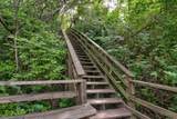 7264 B Street - Photo 46