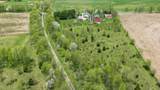 11481 Cressey Road - Photo 7