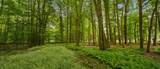 155 Summer Wind - Photo 33