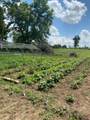 6331 Steamburg Road - Photo 3