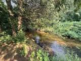 4513 Mena Creek Xing - Photo 5