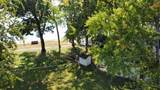 41193 Park Street - Photo 56