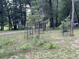 11011 Podunk Avenue - Photo 50