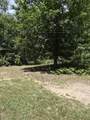 4107 White River Drive - Photo 14