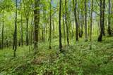 11144 Horton Road - Photo 35