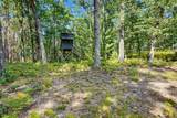 11023 Roby Lake Drive - Photo 57