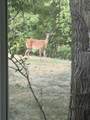 1122 Green Street - Photo 42