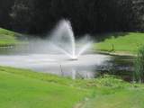 898 Millwood Trail - Photo 7