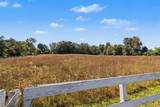 23275 Uldriks Drive - Photo 25