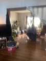 527 Cordelia Street - Photo 3