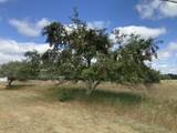 4984 State Road - Photo 38