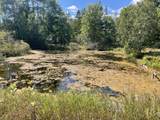 7225 Sargeo Drive - Photo 33
