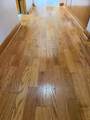 2095 Brettrager Drive - Photo 17