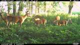 2095 Brettrager Drive - Photo 37