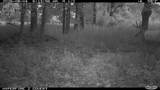 2095 Brettrager Drive - Photo 42