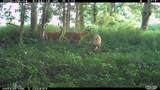 2095 Brettrager Drive - Photo 44