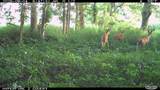 2095 Brettrager Drive - Photo 45