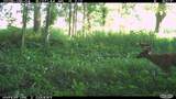 2095 Brettrager Drive - Photo 46